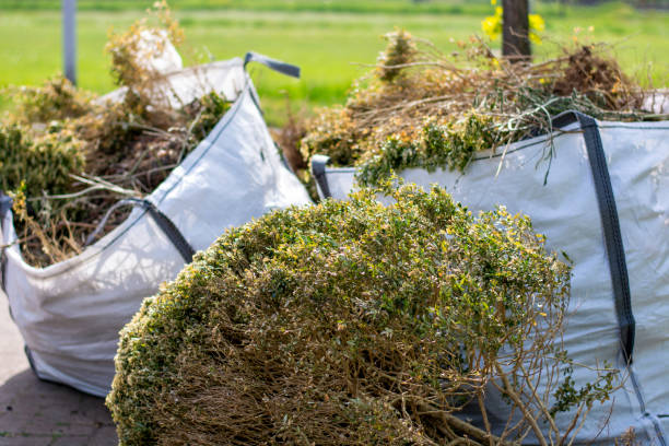 Yard Cleanup Services in Kilmarnock, VA